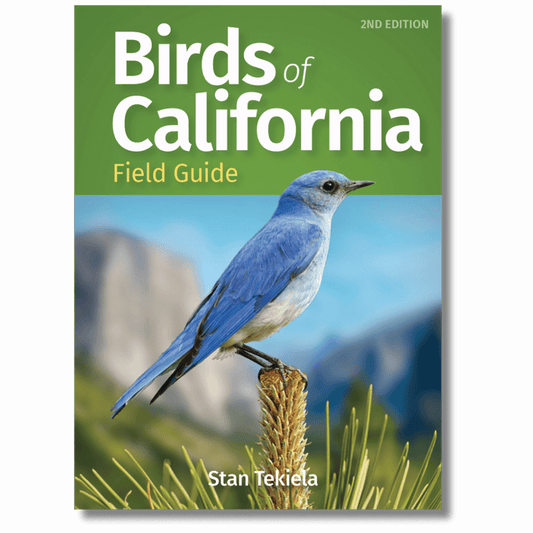 Birds of California Field Guide