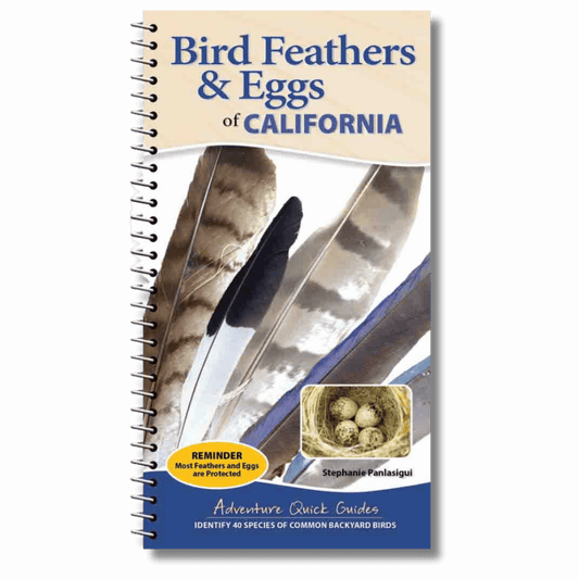 Bird Feathers & Eggs of California