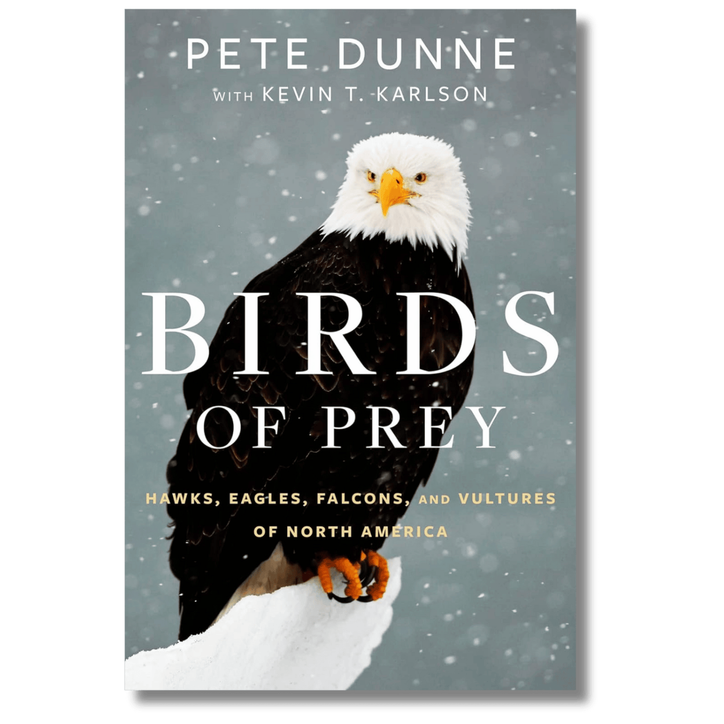Birds of Prey: Hawks, Eagles, Falcons, and Vultures of North America