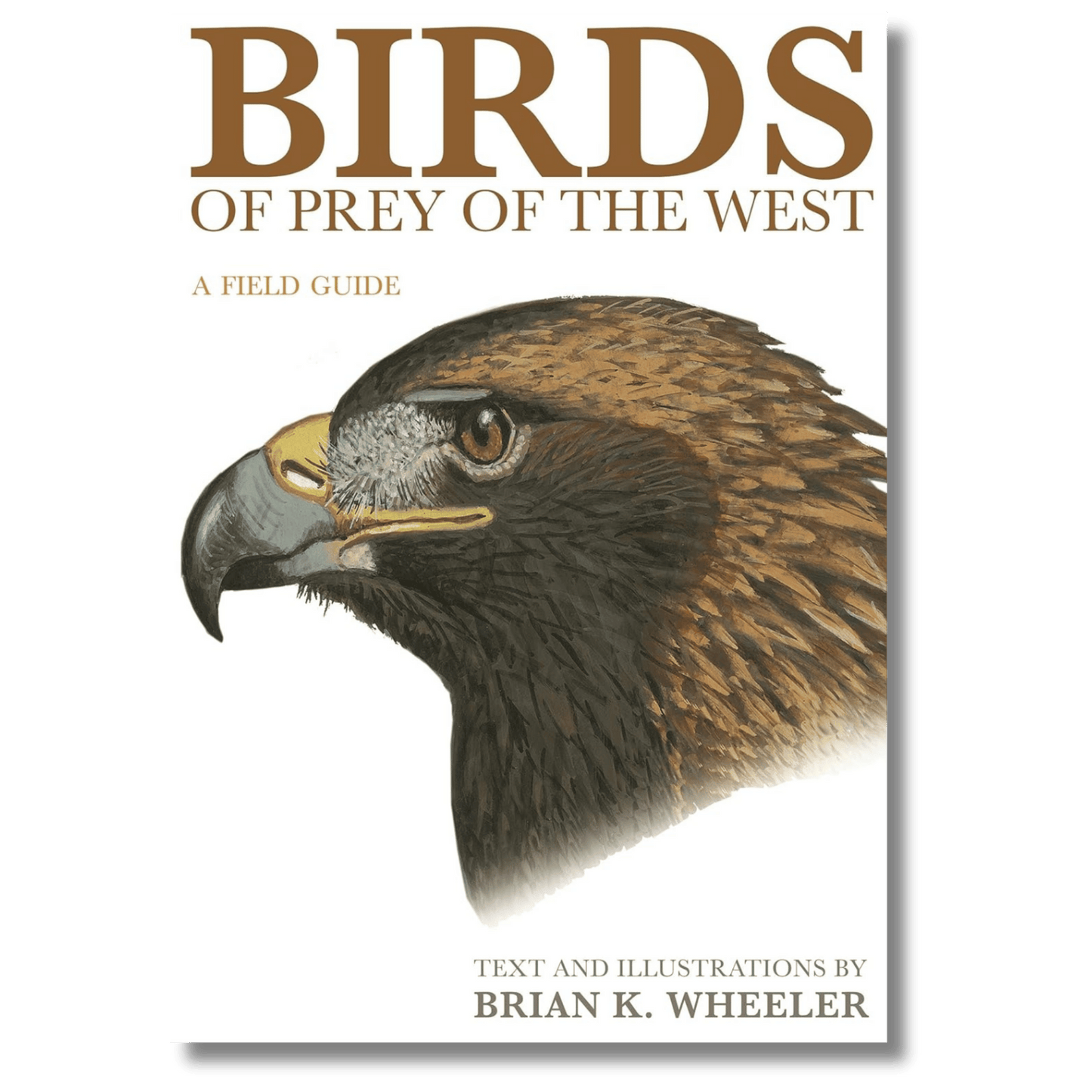 Birds of Prey of the West: A Field Guide