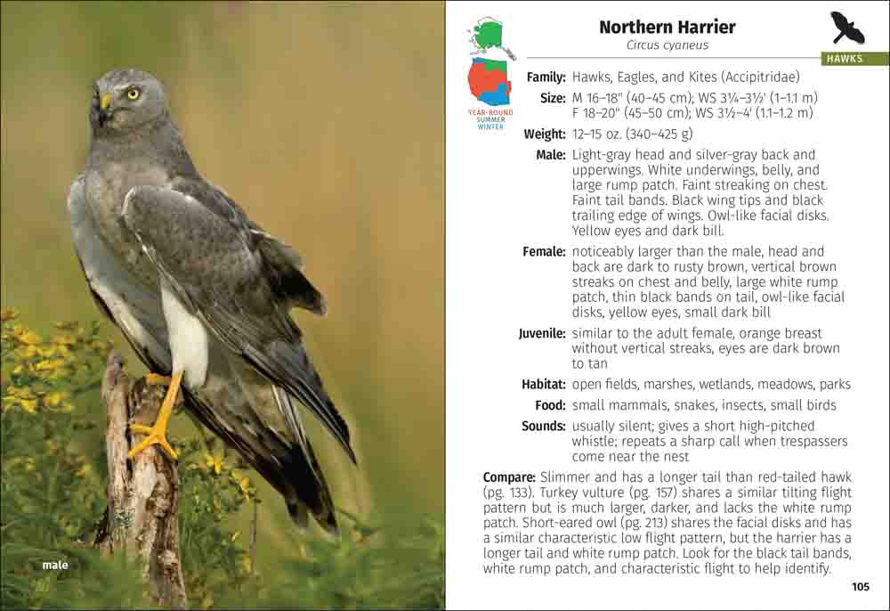Birds of Prey of the West Field Guide