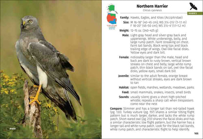 Birds of Prey of the West Field Guide