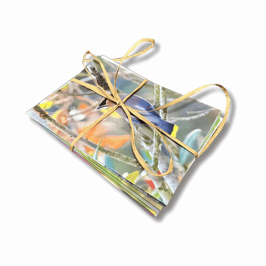 Birds & Wildflowers Notecard Set