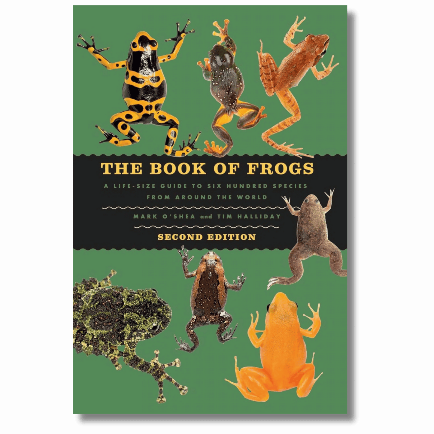 The Book of Frogs: A Life-Size Guide to Six Hundred Species from around the World