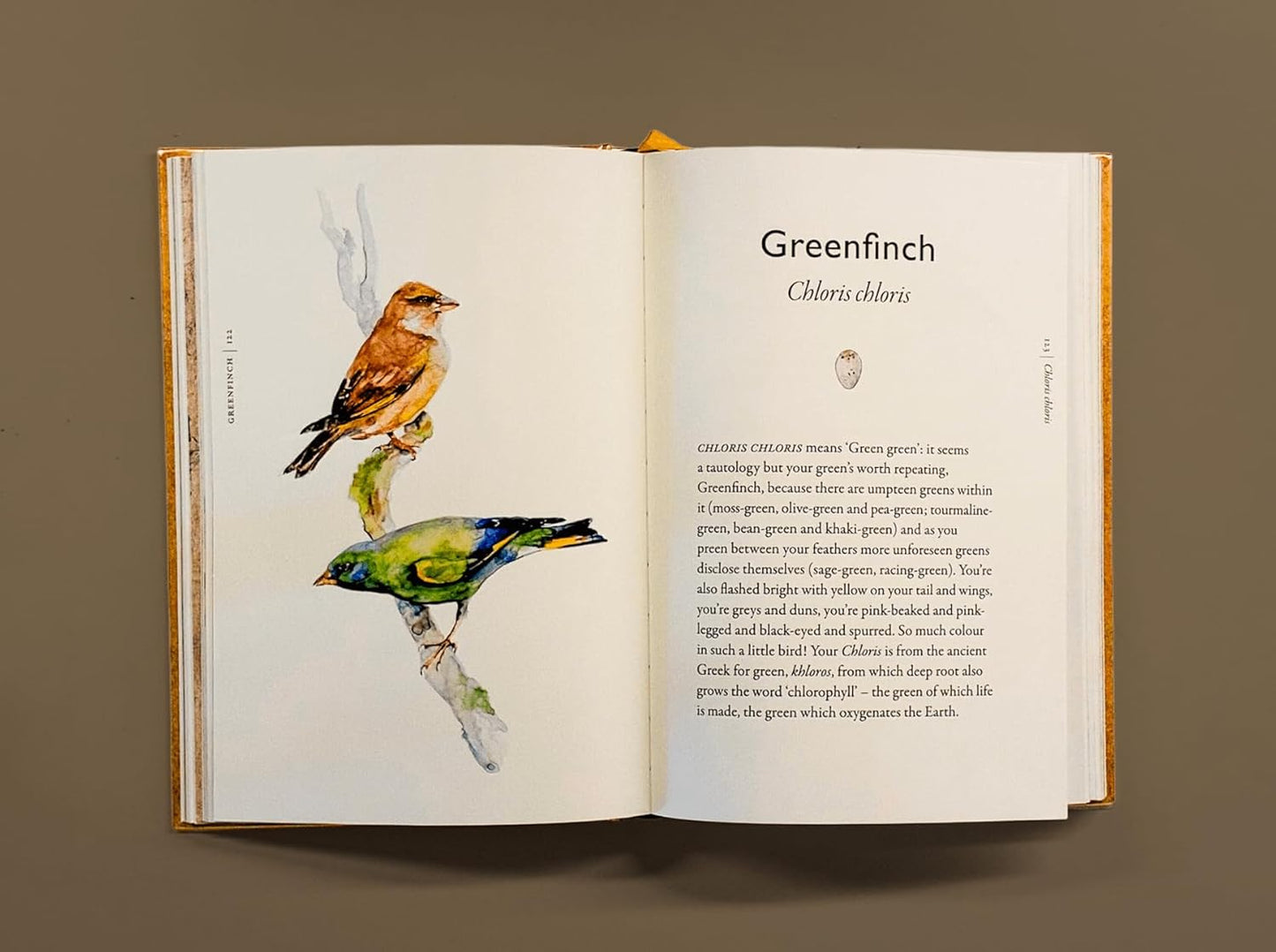 The Book of Birds: A Field Guide to Wonder and Loss