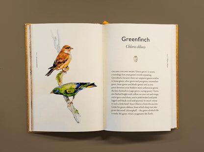 The Book of Birds: A Field Guide to Wonder and Loss