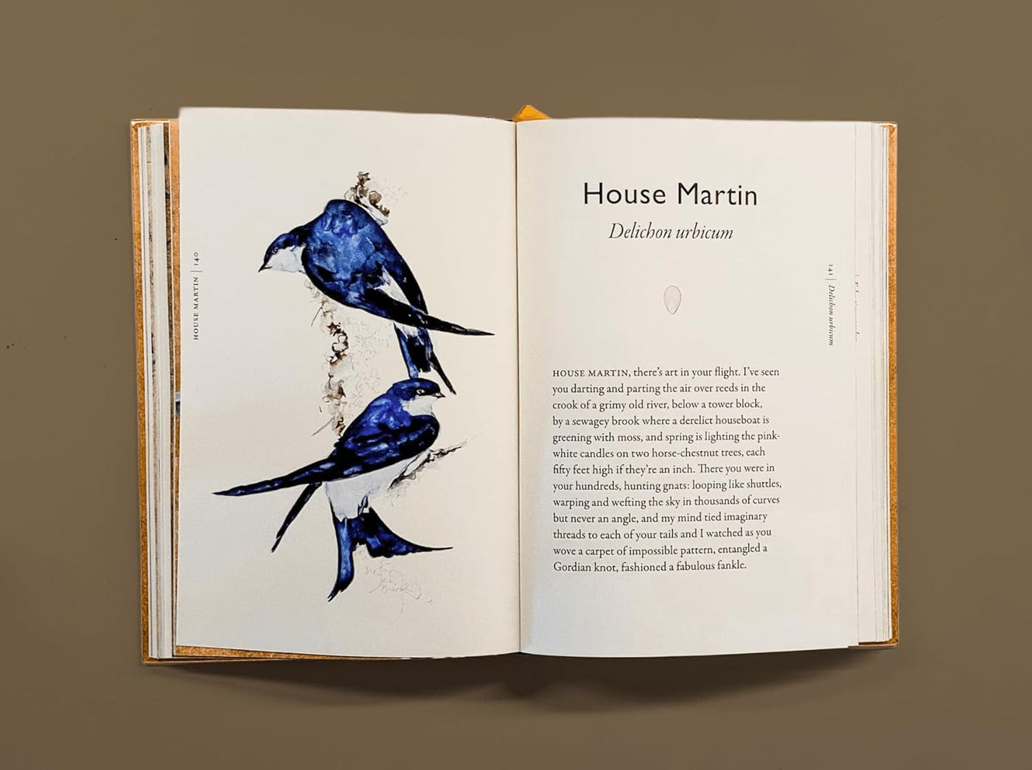 The Book of Birds: A Field Guide to Wonder and Loss