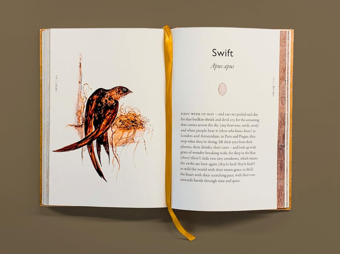 The Book of Birds: A Field Guide to Wonder and Loss