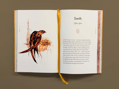 The Book of Birds: A Field Guide to Wonder and Loss