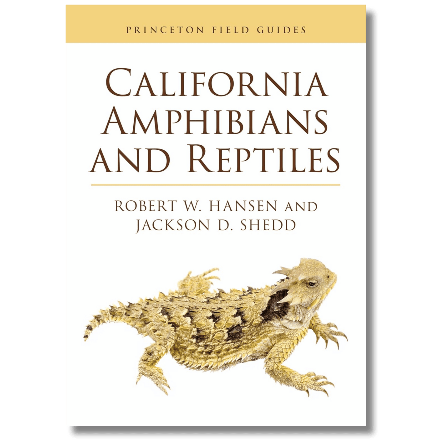 California Amphibians and Reptiles