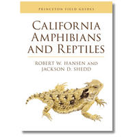 California Amphibians and Reptiles