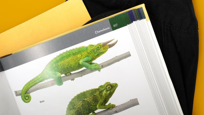 California Amphibians and Reptiles