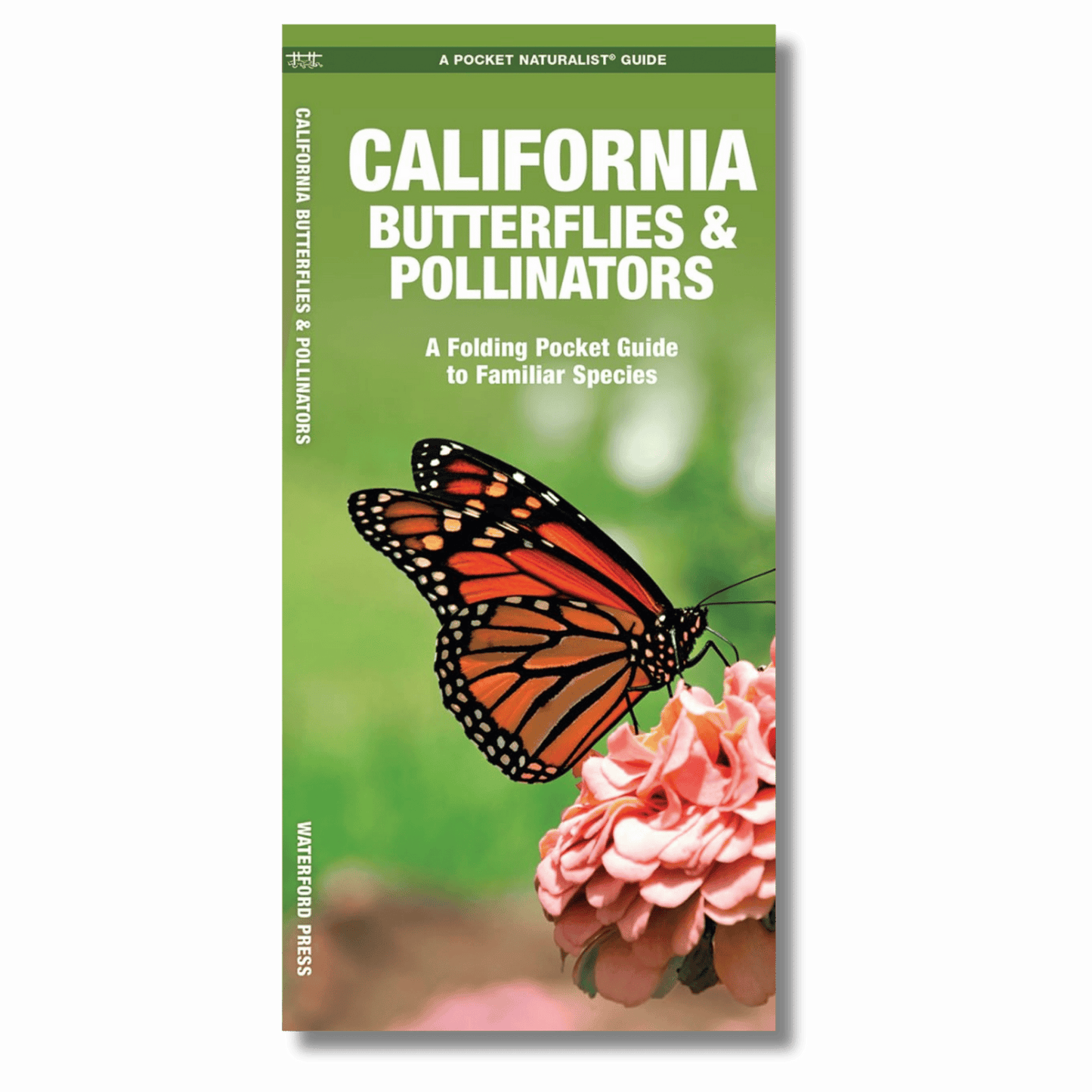 California Butterflies & Pollinators: A Folding Pocket Guide to Familiar Species