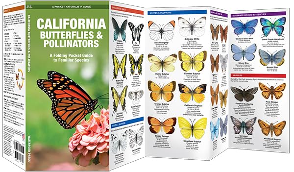 California Butterflies & Pollinators: A Folding Pocket Guide to Familiar Species