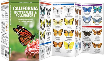 California Butterflies & Pollinators: A Folding Pocket Guide to Familiar Species