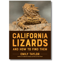 California Lizards and How to Find Them