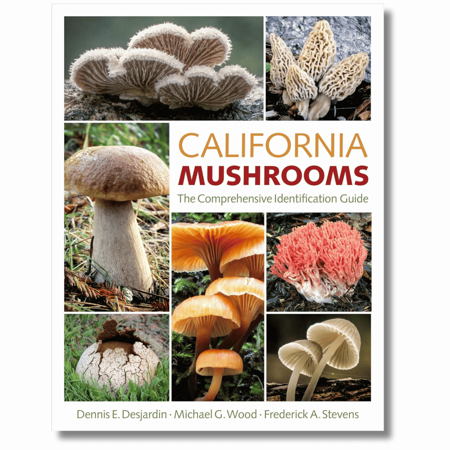 California Mushrooms: The Comprehensive Identification Guide