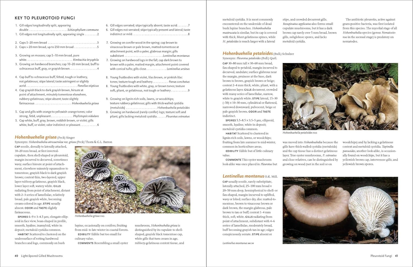 California Mushrooms: The Comprehensive Identification Guide