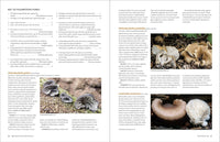 California Mushrooms: The Comprehensive Identification Guide