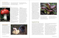 California Mushrooms: The Comprehensive Identification Guide