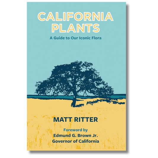 California Plants: A Guide to Our Iconic Flora