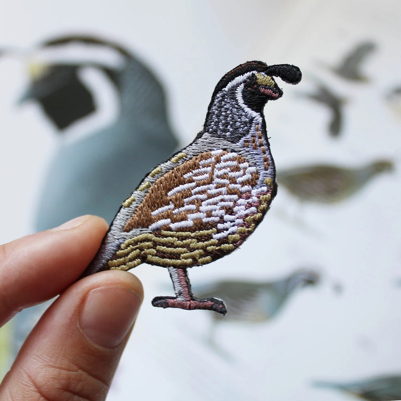 California Quail Patch