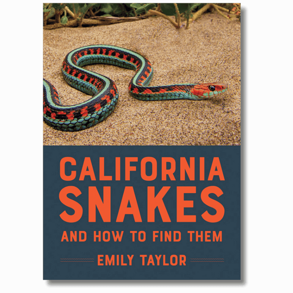 California Snakes and How to Find Them