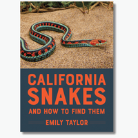 California Snakes and How to Find Them