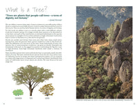 California Trees: A Field Guide to the Native Species