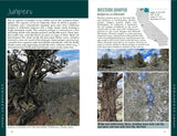 California Trees: A Field Guide to the Native Species