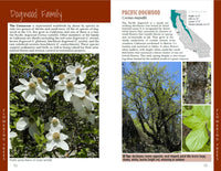 California Trees: A Field Guide to the Native Species