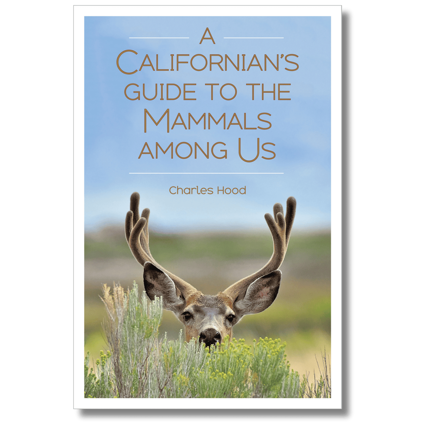 A Californian's Guide to the Mammals Among Us