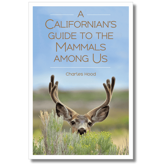 A Californian's Guide to the Mammals Among Us