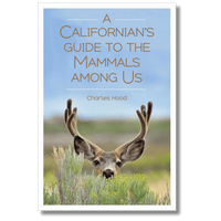 A Californian's Guide to the Mammals Among Us