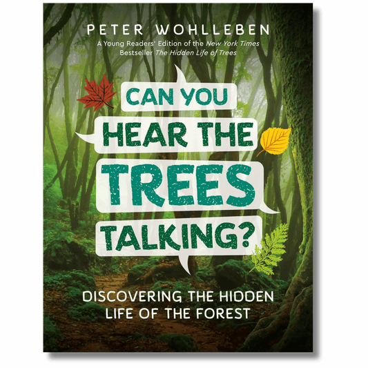 Can You Hear the Trees Talking? Discovering the Hidden Life of the Forest