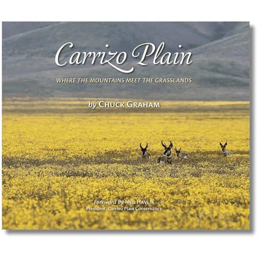 Carrizo Plain: Where the Mountains Meet the Grasslands (Local Author)
