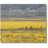 Carrizo Plain: Where the Mountains Meet the Grasslands (Local Author)