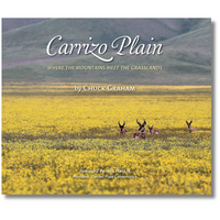 Carrizo Plain: Where the Mountains Meet the Grasslands (Local Author)