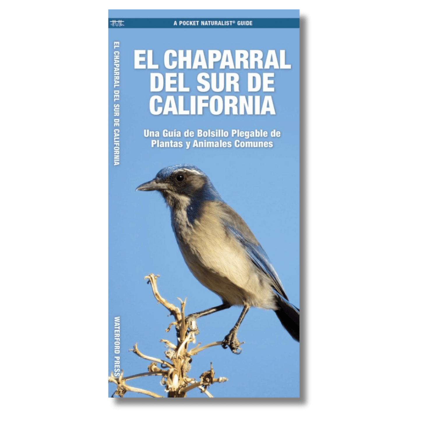 El Chaparral Del Sur de California