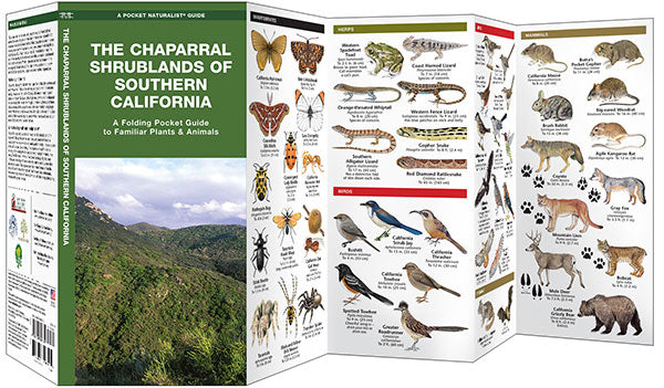 Chaparral Shrublands of Southern California