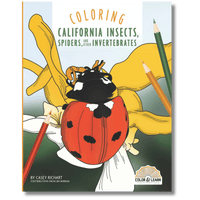 Coloring Southern California Insects, Spiders, and Other Invertebrates