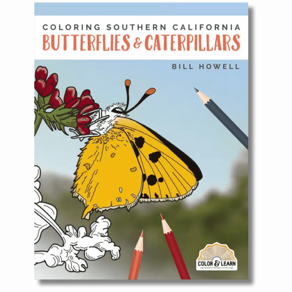 Coloring Southern California Butterflies & Caterpillars