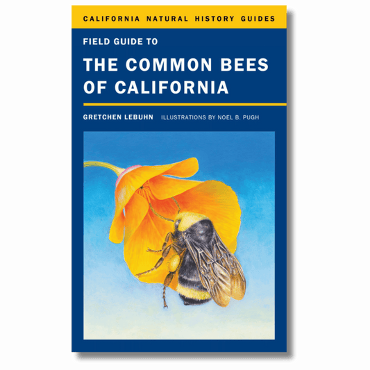 Field Guide to the Common Bees of California