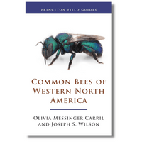 Common Bees of Western North America