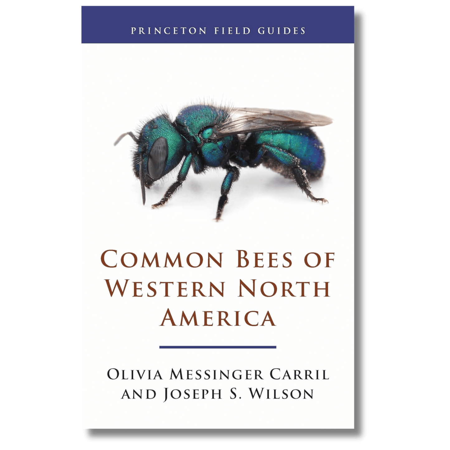 Common Bees of Western North America