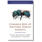 Common Bees of Western North America