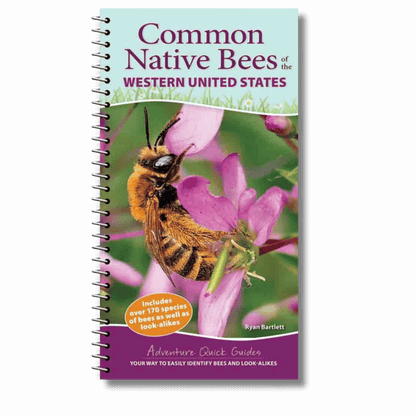 Common Native Bees of the Western United States
