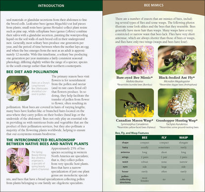 Common Native Bees of the Western United States
