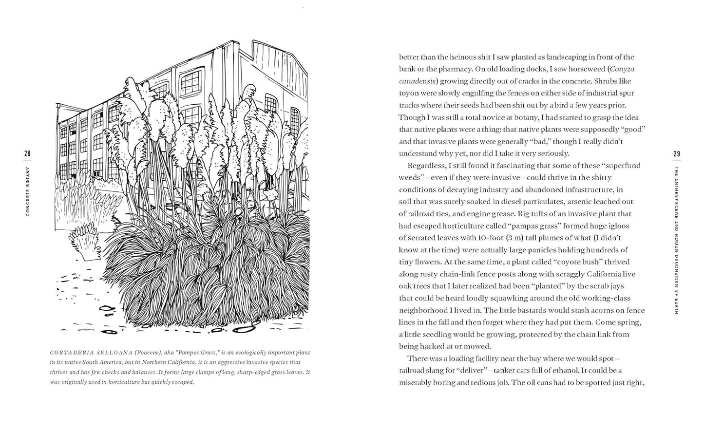 Concrete Botany: The Ecology of Plants in the Age of Human Disturbance