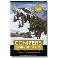 Conifers of the Pacific Slope